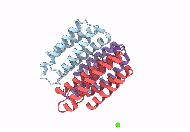 9PPT image