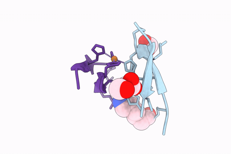 9PPU image