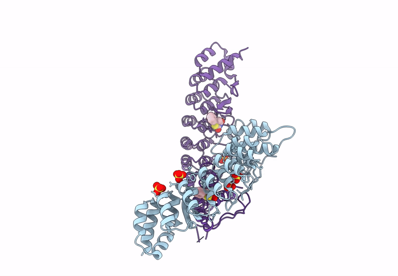 9PQA image