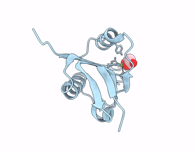 9PQF image