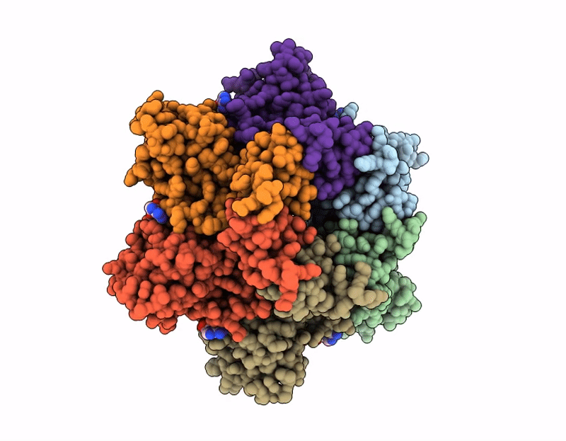 9PQM image
