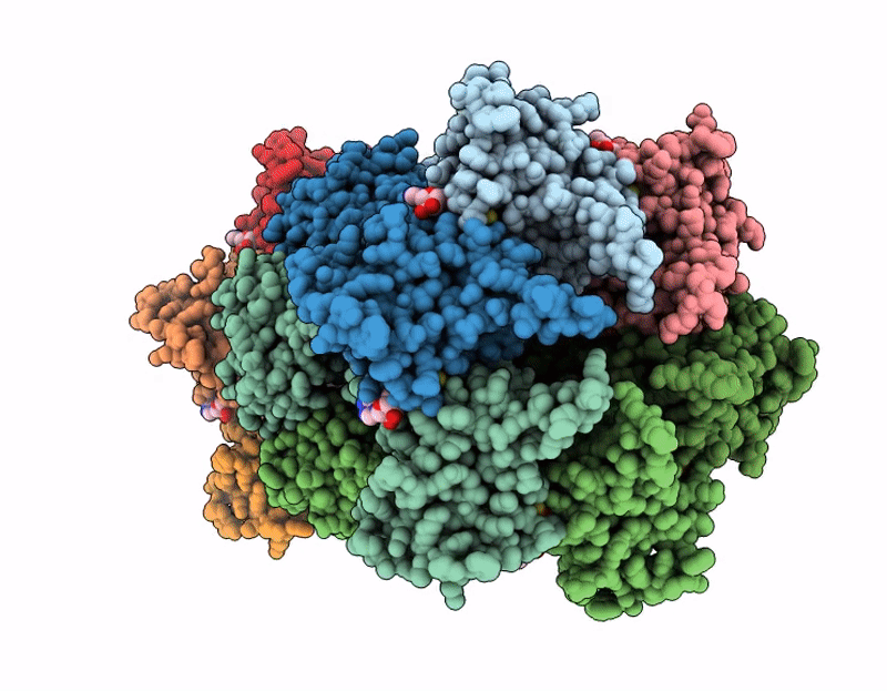 9PQR image