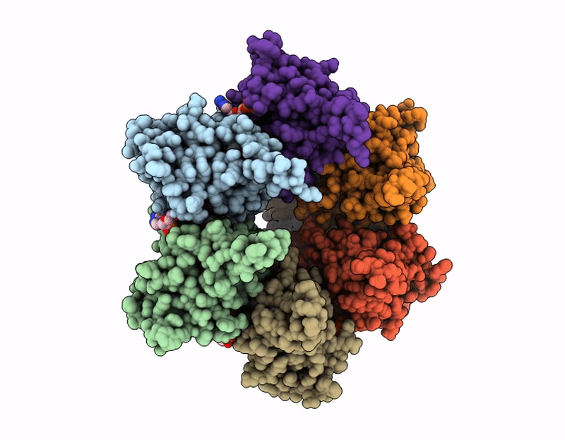 9PQT image