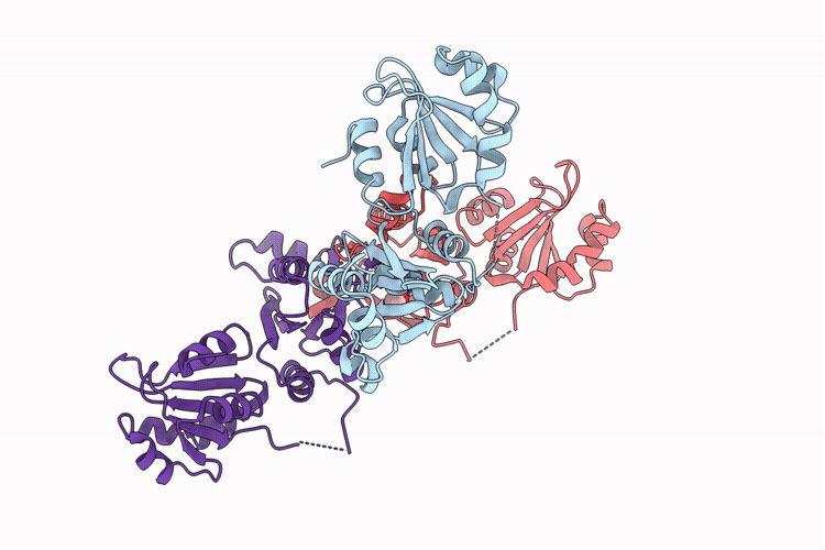 9PRB image