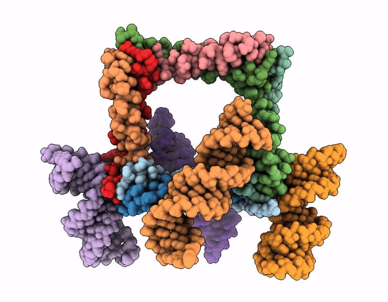 9PRC image