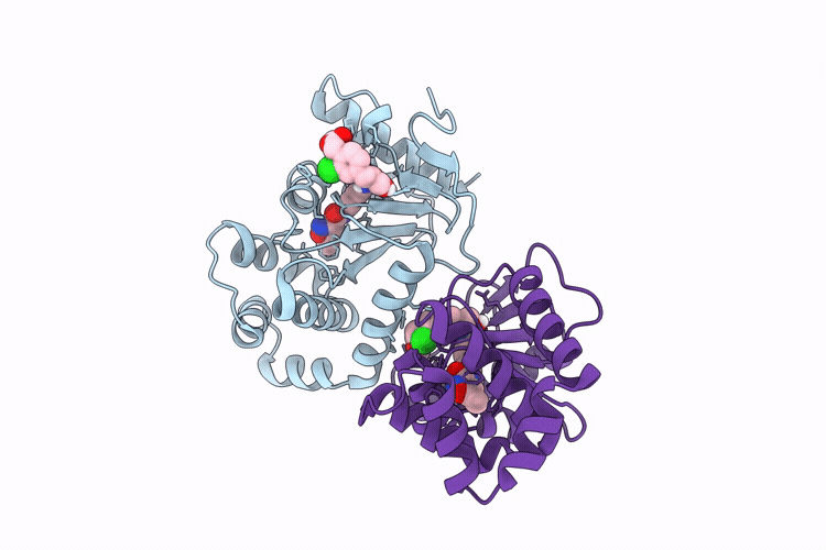 9PRL image