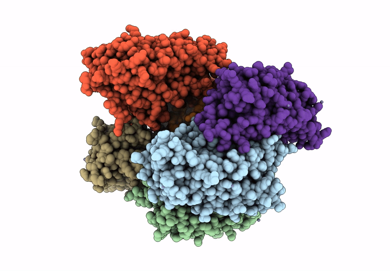 9PRR image