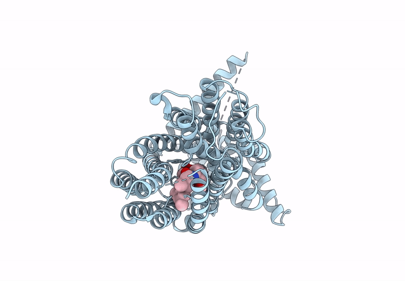9PRS image
