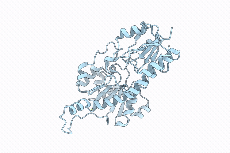 9PRV image