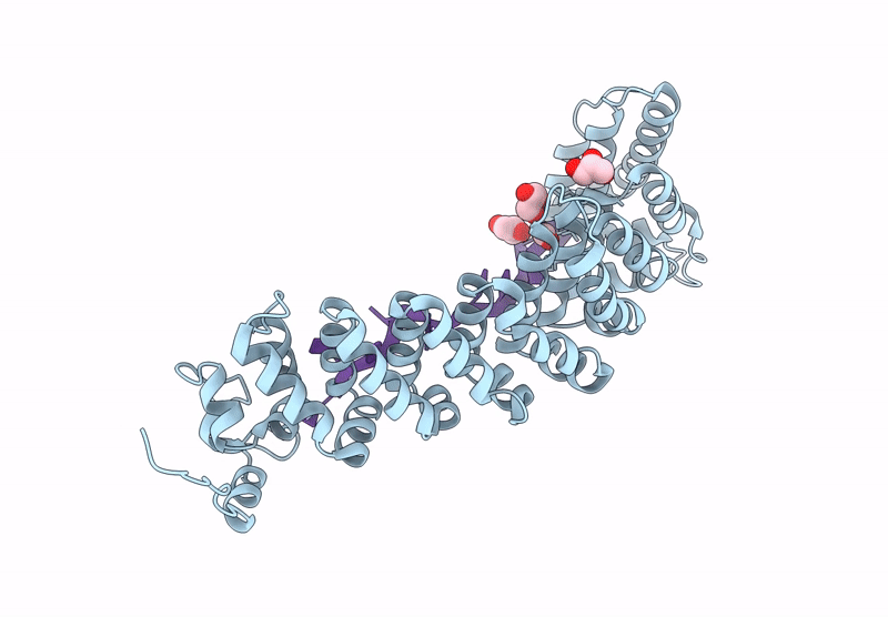 9PSB image