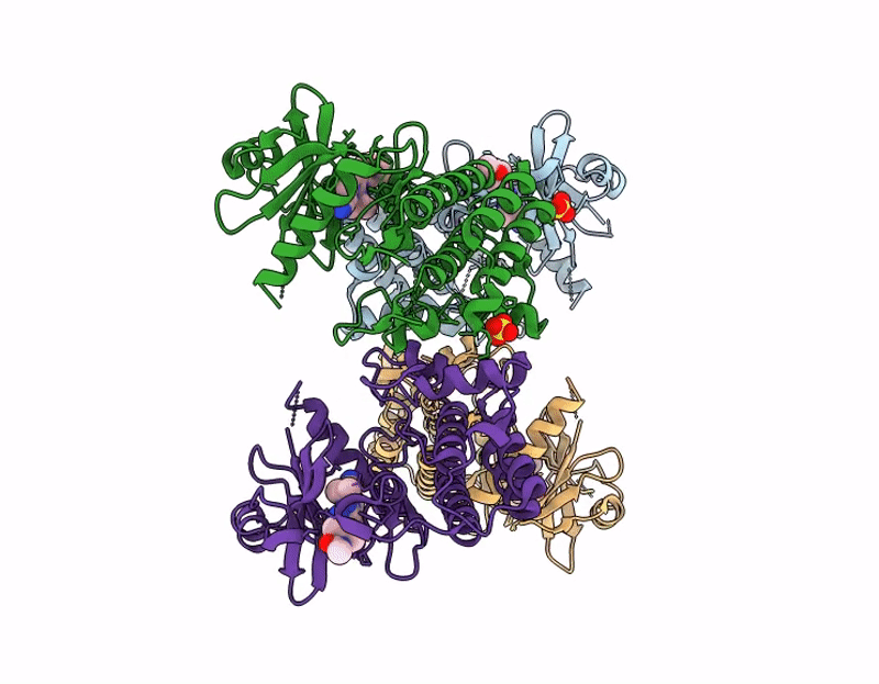 9PSU image
