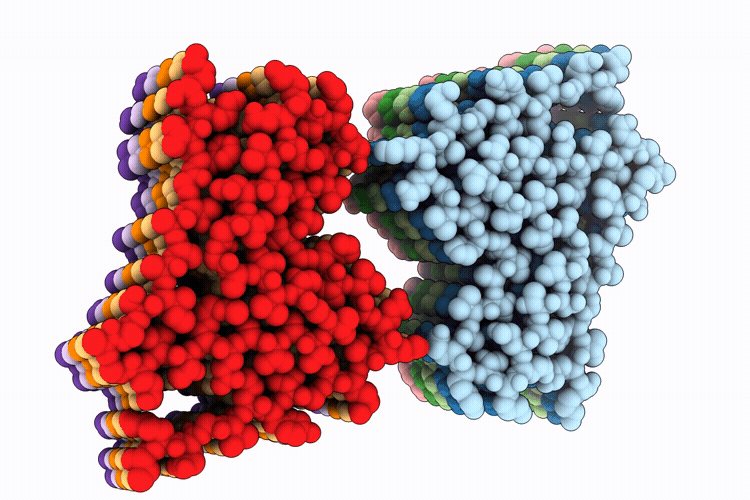 9PTC image
