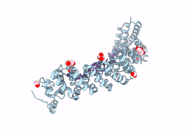 9PTJ image