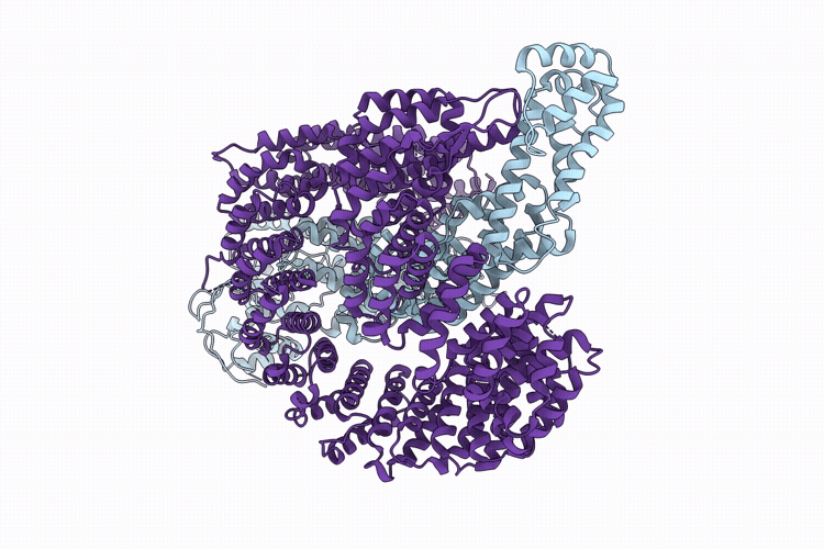 9PVH image