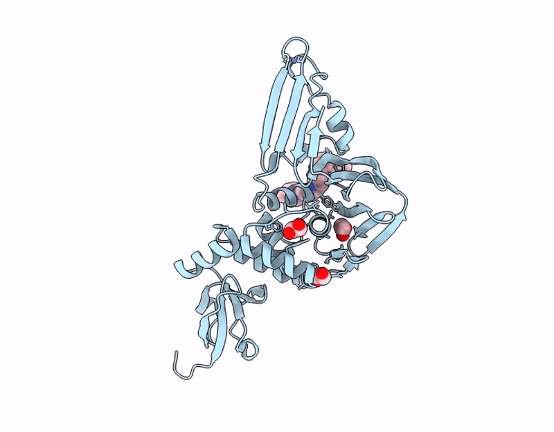 9PVK image
