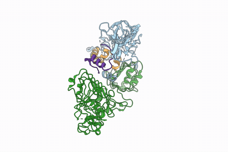 9PVO image