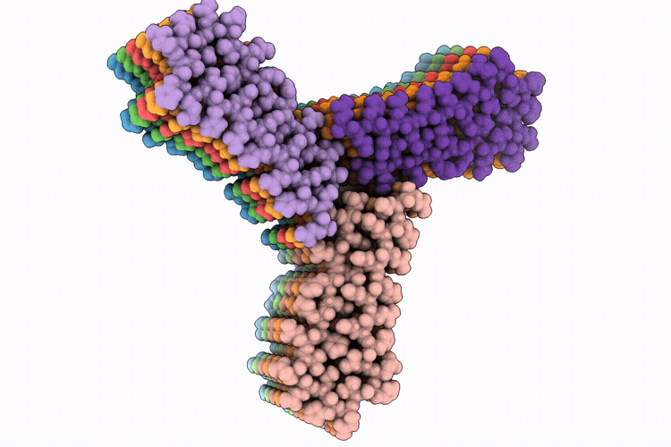 9PX8 image
