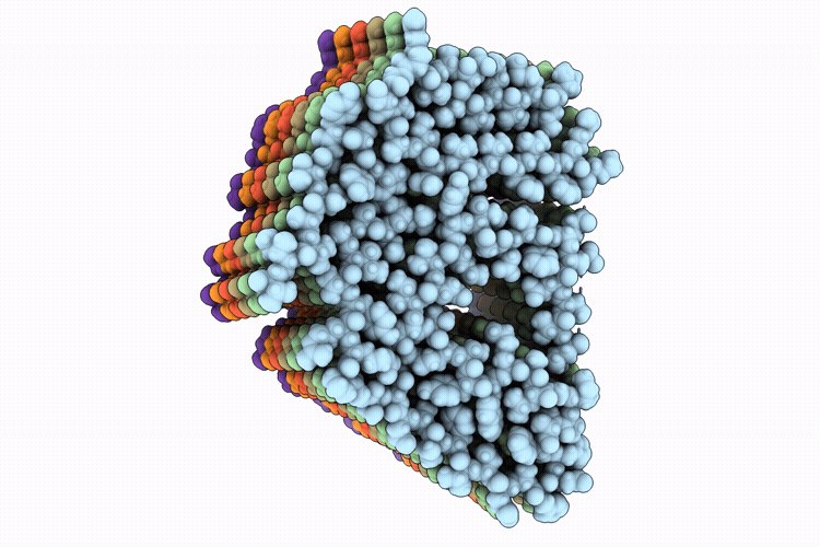 9PX9 image