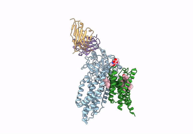 9PXB image