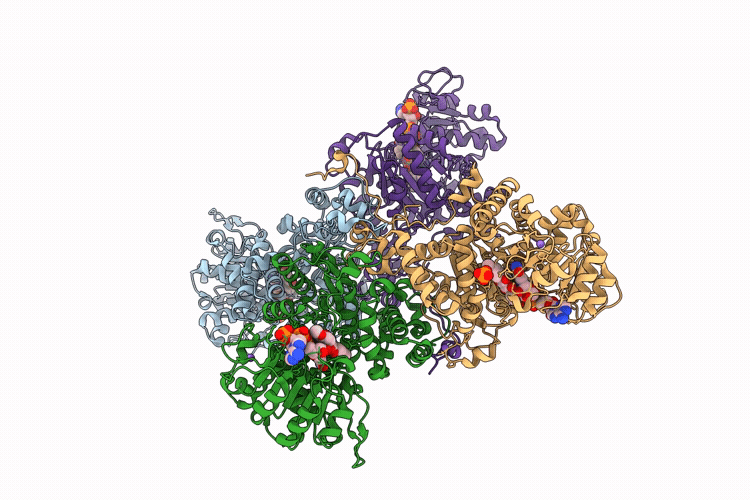 9PXR image