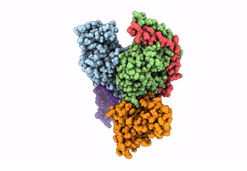 9PXV image