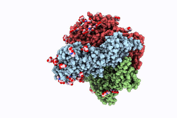 9PYH image
