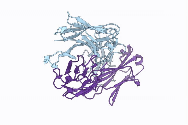9PYN image