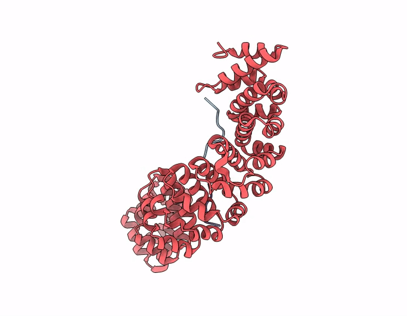 9PYR image