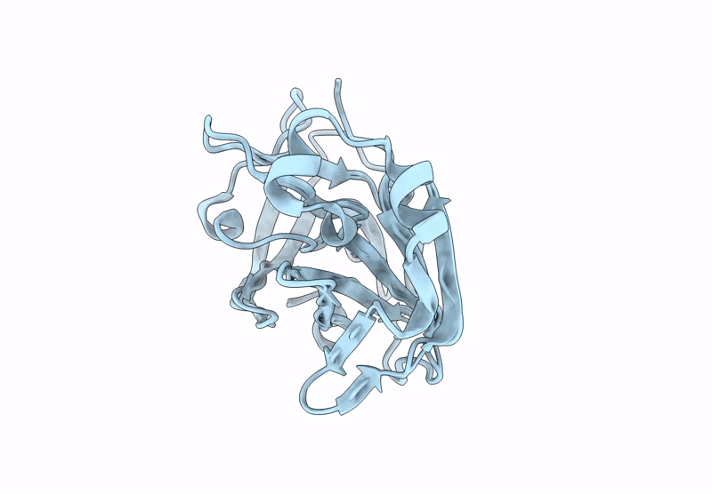 9PYT image