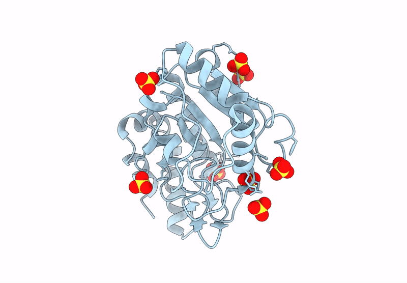 9PYV image