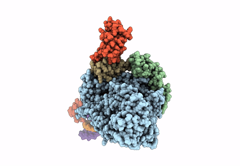 9PYW image