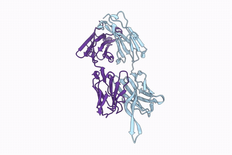 9PZ2 image