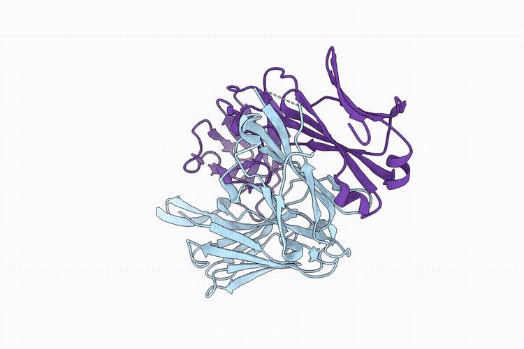 9PZ3 image