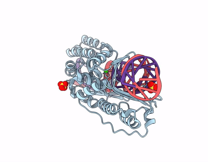 9PZ7 image