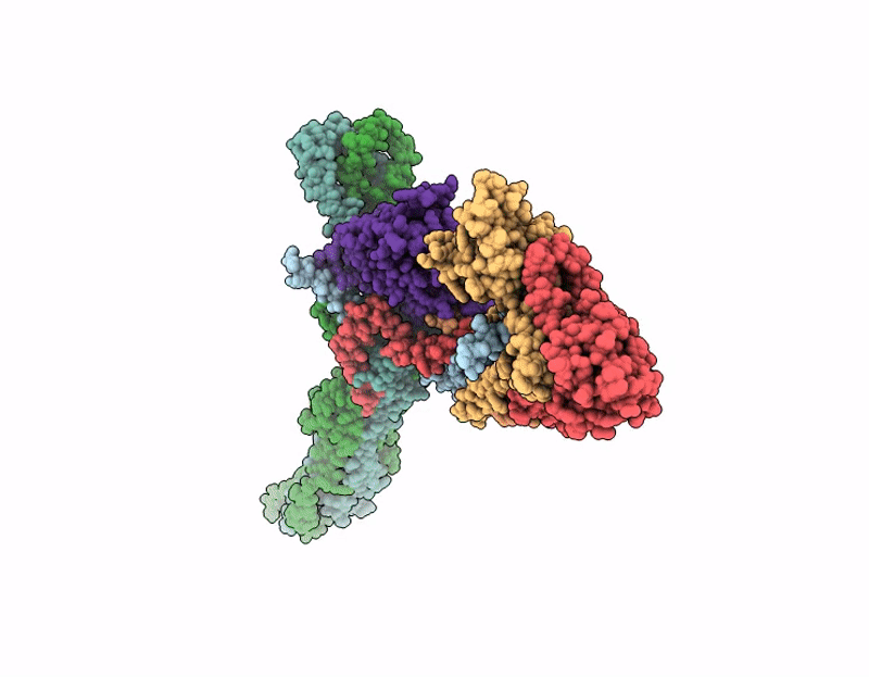 9PZM image