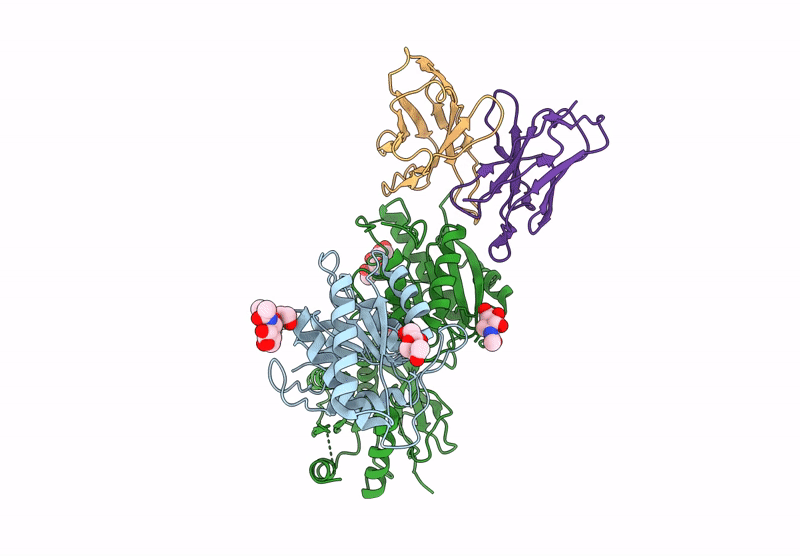 9PZX image