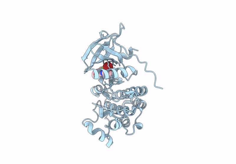 9Q0S image