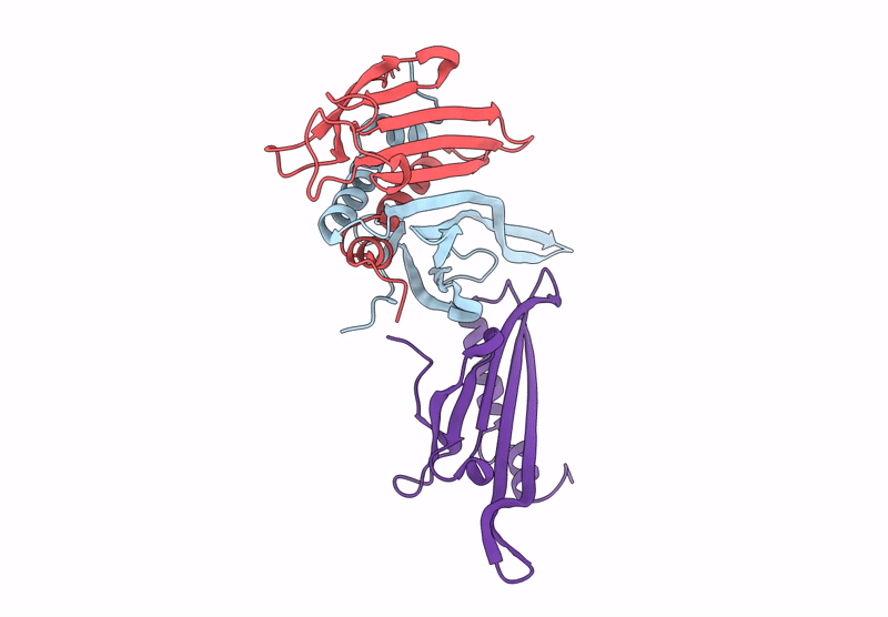 9Q1B image