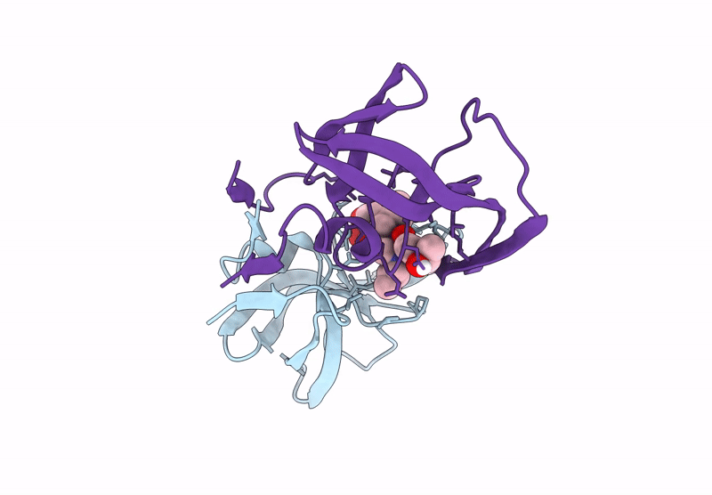 9Q1C image
