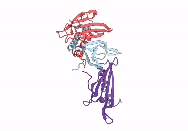 9Q1D image