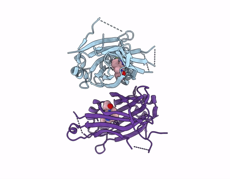 9Q1N image