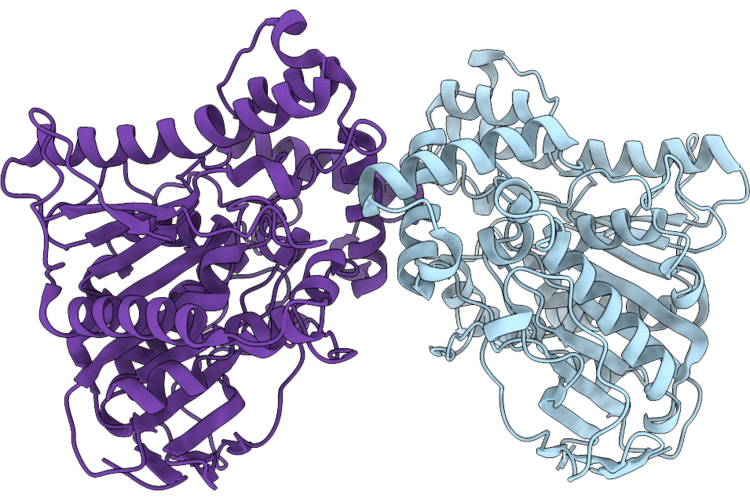 9Q21 image