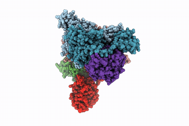 9Q2B image