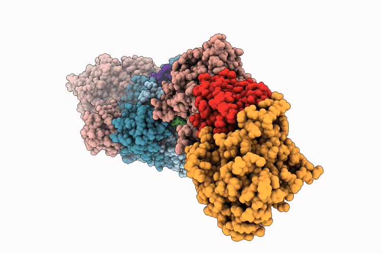 9Q2C image