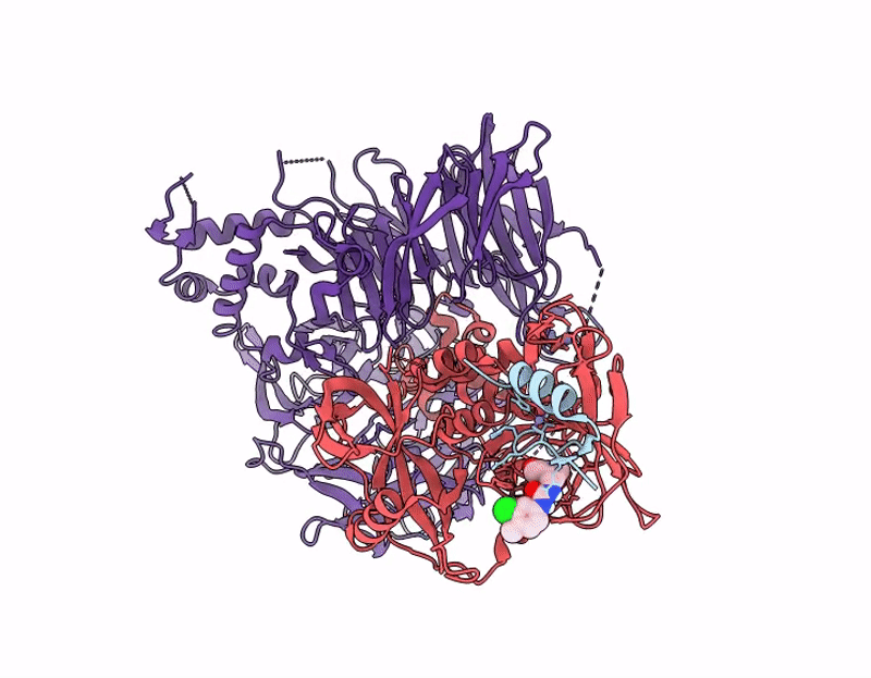 9Q2D image
