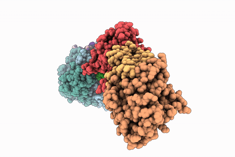 9Q2E image