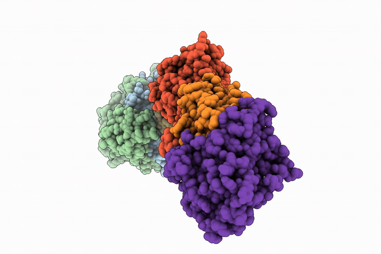 9Q2H image