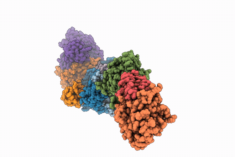 9Q2I image