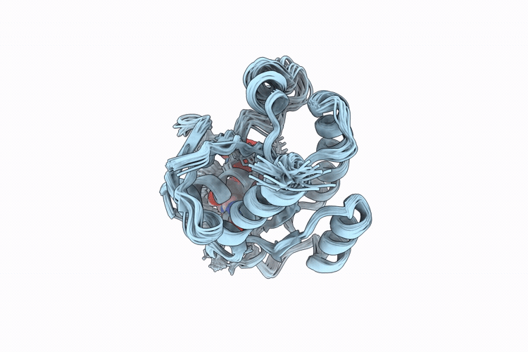 9Q2X image