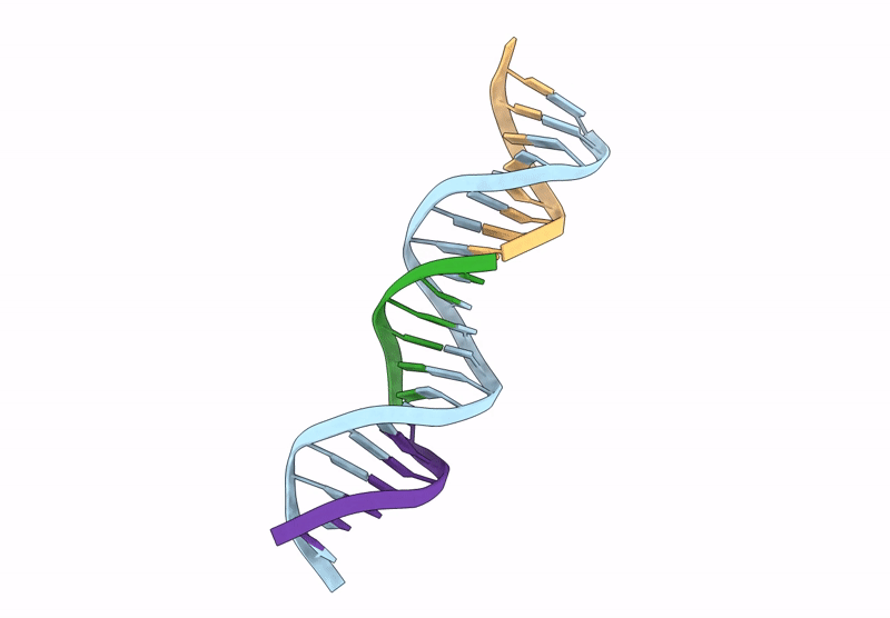 9Q3B image